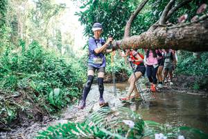 BIB: 
                            <button type="button" onclick="openModal(25476583)" class="btn btn-primary btn-sm float-right btn-popup" data-toggle="modal" data-target=".modal-high-quality">
                        <i class="fas fa-shopping-cart"></i> Add to Cart
                    </button>
                                            <button type="button" onclick="isThisMe(25476583, true)" class="btn btn-success btn-sm float-right btn-popup btn-isme hidden" data-toggle="tooltip" data-placement="bottom" title="นี่คือรูปของคุณใช่ไหม คลิกที่นี่เพื่อเอาเข้าอัลบั้ม">
                        <i class="fas fa-plus"></i> Add to album
                    </button>
                    <button type="button" onclick="isThisMe(25476583, false)" class="btn btn-warning btn-sm float-right btn-popup btn-isnotme hidden">
                        <i class="fas fa-ban"></i> Remove from album
                    </button>